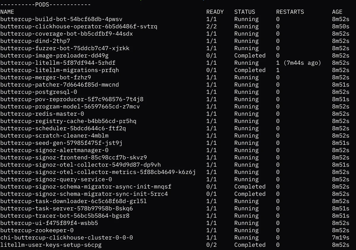 Image showing Buttercup ready to find and patch vulnerabilities